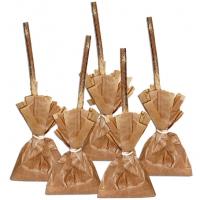 Sac à bonbons balai de sorcière
