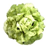 Les salades