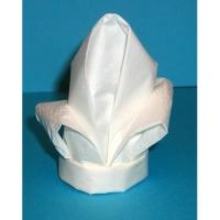 pliage serviette fleur de lys