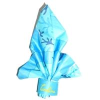 Pliage serviette marque place