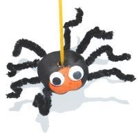 Une araignée en marrons