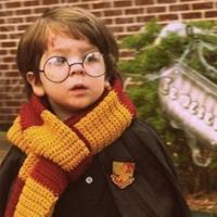 Déguisement de Harry Potter