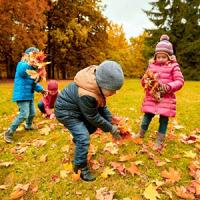 Jouer dans les feuilles