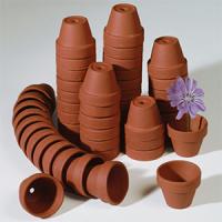 Des pots en terre cuite :