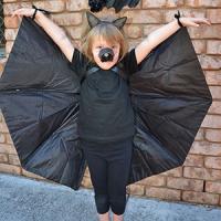 La chauve-souris