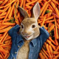 Pierre Lapin :