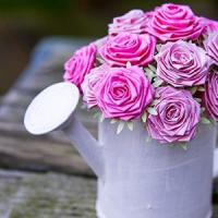 Des roses :