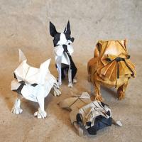 Des chiens :
