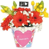 Le pot de fleurs :