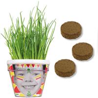 Kits du petit jardinier : ciboulette :