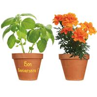 Un kit "horticulteur" :