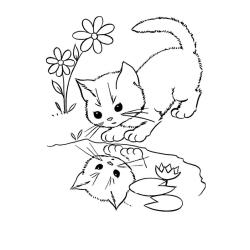 Coloriage d'un chaton gratuit