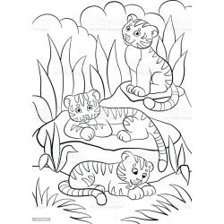 coloriage d'un petit tigre