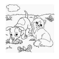 Coloriage d'un chaton dans un cadeau 