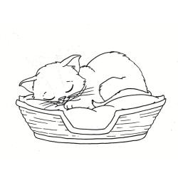 Coloriage d'un chaton de Noël 