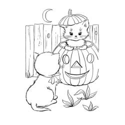 Coloriage d'un chaton gratuit