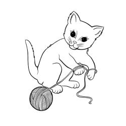Coloriage d'un chaton sur la fenêtre