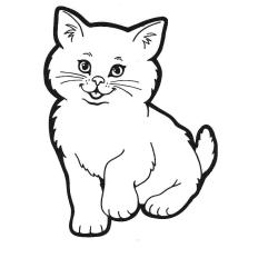 Coloriage enfant : Coloriage chaton

