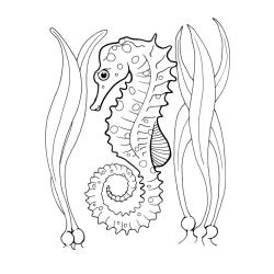 Coloriage d'un hippocampe mignon