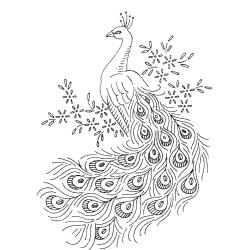 Dessin d'un paon