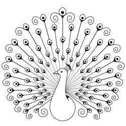 Dessin d'un paon