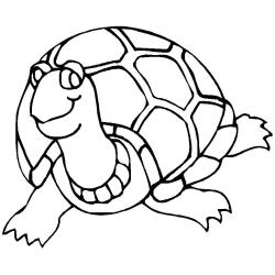 Coloriage tortue marine