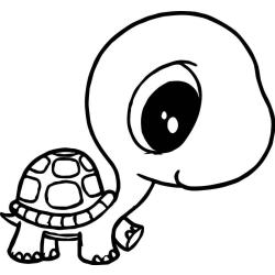 Coloriage d'une tortue de terre