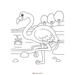 Coloriage flamant rose à imprimer