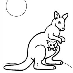 Coloriage kangourou mignon