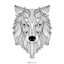 Coloriage Libellule Art Thérapie