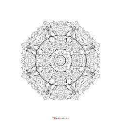 Coloriage Libellule Art Thérapie