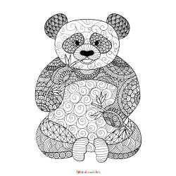 Coloriage Libellule Art Thérapie