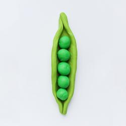 Suivez les étapes pour fabriquer une cosse de petit pois en pâte à modeler avec les enfants.
