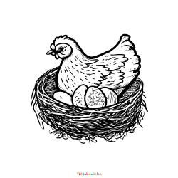 Coloriage des petits : la poulette