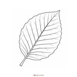 Coloriage d'un paysage d'automne