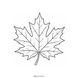 Découvrez une magnifique feuille d'érable à colorier gratuitement. Le coloriage parfait pour célébrer l'automne.
