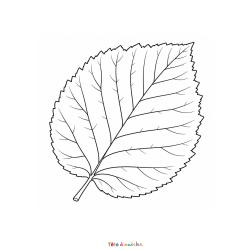 Coloriage d'un paysage aux couleurs de l'automne
