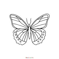 Coloriage d'un papillon à imprimer avec Tête à modeler