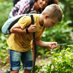 Ce dossier sur les écosystèmes vous aidera à mieux comprendre pour mieux expliquer à votre enfant ce qu’est un écosystème en écologie. Ecologie  et écosystèmes : Sommaire du dossier sur les écosystème