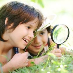 Bricolages nature et activités sur la nature