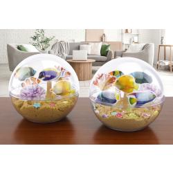 Aquarium et poissons exotiques