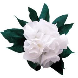 Réaliser un beau bouquet de roses blanches pour la fête des mères, la fête des pères, Noël, la Saint Valentin ou pour un anniversaire. Le bouquet de roses peut-être offert &agrave