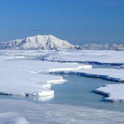 Banquise - mot du glossaire Tête à modeler. La banquise est la couche de glace qui recouvre les régions polaires