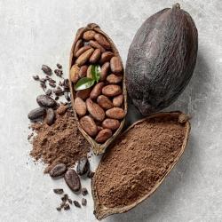 cacao - mot du glossaire Tête à modeler. Le cacao est la graine du cacaoyer. Définition et activités associées au mot cacao.