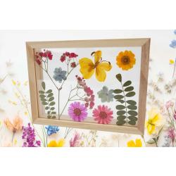 Cadre fleurs séchées