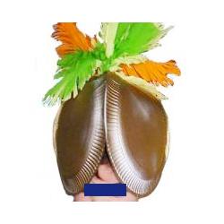 casque conquistador