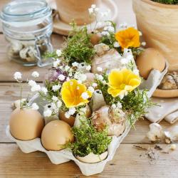 Composez un centre de table floral avec des coquilles d'oeufs. Une création pleine de poésie pour Pâques.