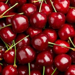 cerise - mot du glossaire Tête à modeler. La cerise est un fruit à noyau. Définition et activités associées au mot cerise.