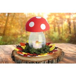 Champignon lumineux