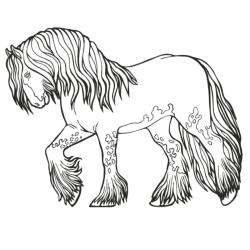 Coloriage du dessin d'un cheval aux pattes très poilues à imprimer pour les enfants. Sur ce dessin le chaval a de longs poils qui tombent sur ses sabots.